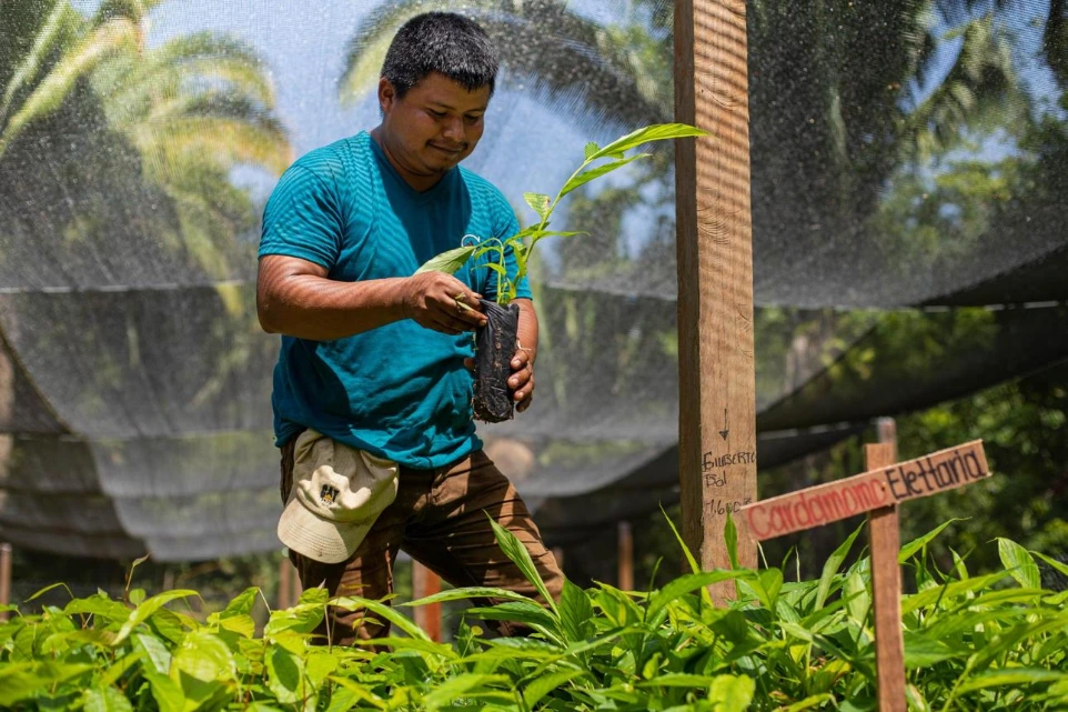 vivir legalmente guatemala