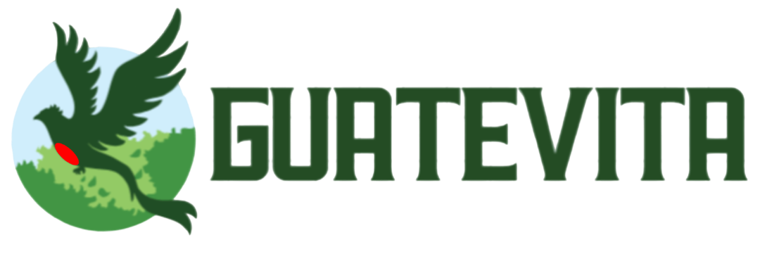 Guatevita.com